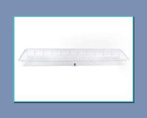 Long Tray Perfect for Food Displays